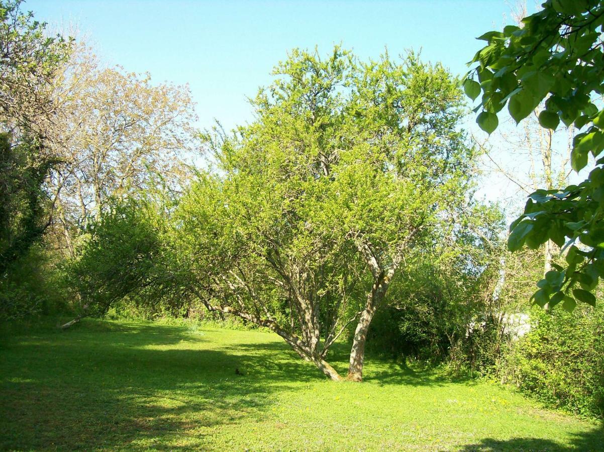 Chez Scallan B&B Sens sur Seille Exterior foto